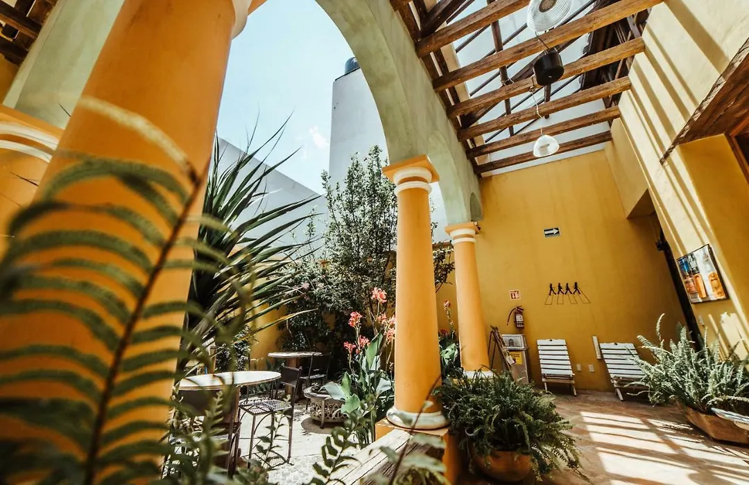 Snail Bed & Breakfast (Adults Only)-1